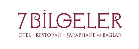 Bilgeler